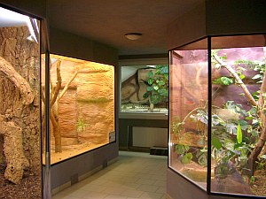 Terrarien im Obergeschoss