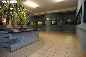 Aquarienraum im Erdgeschoss