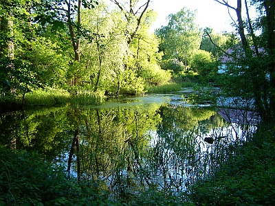 Teich und Grünflächen