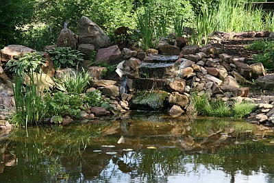 Impressionen aus dem Tümpelgarten