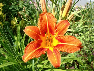 Blick auf das Gelände